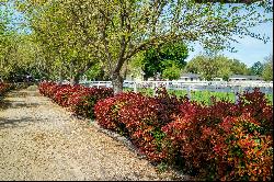 An Unequaled Horse Farm