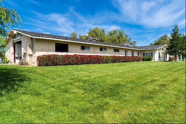 An Unequaled Horse Farm