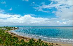 Tropical Sanctuary Near the Beach