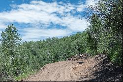 Hillside Loop Road