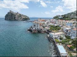 Private Villa for sale in Ischia (Italy)