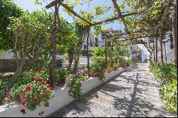 Private Villa for sale in Ischia (Italy)