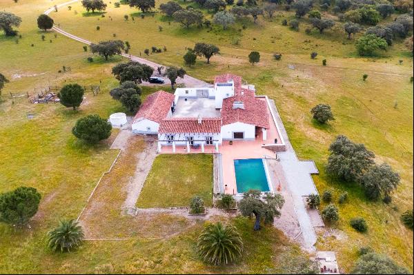 Outstanding 84-hectare farm in Vimieiro, Arraiolos.