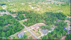 Gannet Avenue, Weeki Wachee FL 34613