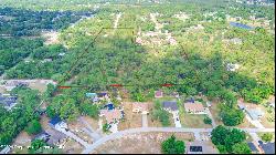 Gannet Avenue, Weeki Wachee FL 34613