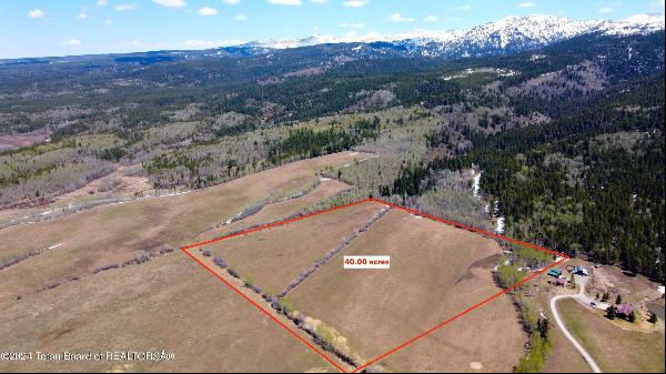 40 ACRES E Rigby Road, Alta WY 83414