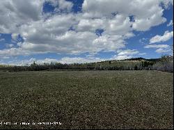 40 ACRES E Rigby Road, Alta WY 83414
