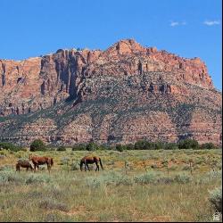 Apple Valley UT 84737