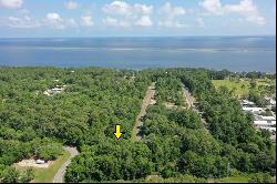 Lot 31 Blue Water Beach Cir, Carrabelle FL 32323