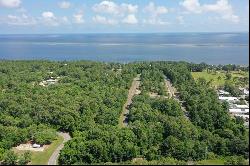 Lot 31 Blue Water Beach Cir, Carrabelle FL 32323