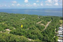 Lot 31 Blue Water Beach Cir, Carrabelle FL 32323