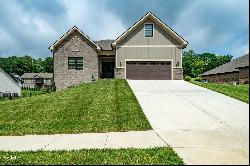 1446 Brumit Field, Gray TN 37615