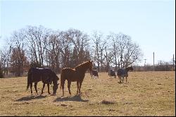 Osage Avenue, Van Meter IA 50261