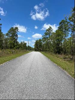 NW Amberjack Avenue #Lot 33, Dunnellon FL 34431