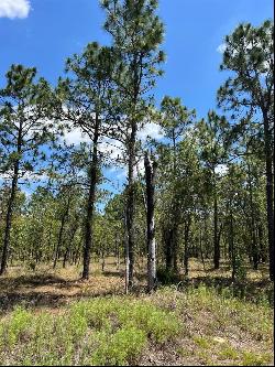 NW Amberjack Avenue #Lot 33, Dunnellon FL 34431