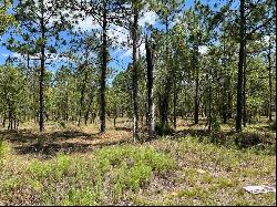 NW Amberjack Avenue #Lot 33, Dunnellon FL 34431