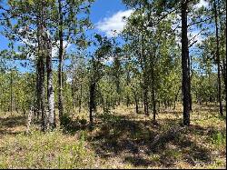 NW Amberjack Avenue #Lot 33, Dunnellon FL 34431