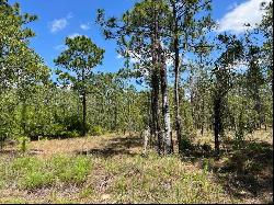 NW Amberjack Avenue #Lot 33, Dunnellon FL 34431