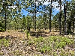 NW Amberjack Avenue #Lot 33, Dunnellon FL 34431