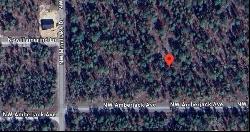 NW Amberjack Avenue #Lot 33, Dunnellon FL 34431