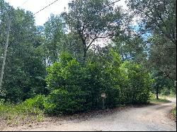 10013 N Holyoak Terrace, Dunnellon FL 34433