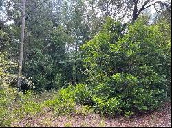 10013 N Holyoak Terrace, Dunnellon FL 34433