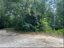 10013 N Holyoak Terrace, Dunnellon FL 34433