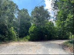 10013 N Holyoak Terrace, Dunnellon FL 34433