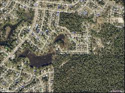 Lakeview Court, Spring Hill FL 34608