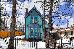 119 E 8th Street, Leadville, CO, 80461