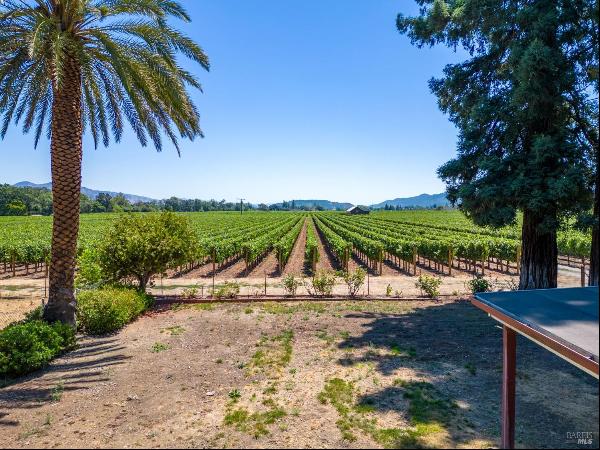 1039 Rutherford Road, Napa, CA, 94558, USA