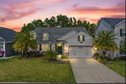 349 Village Grande Drive, Ponte Vedra, FL