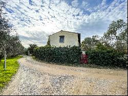 Via Vallachio, San Casciano In Val di Pesa, Tuscany, Italy, 50026