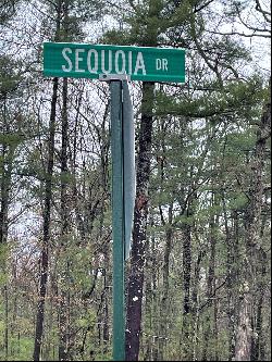 6845 Sequo Sequoia Drive Unit #9, Indian River MI 49749