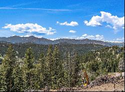 8684 Armadillo Trail, Evergreen CO 80439