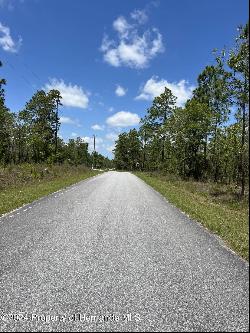 NW Amberjack Avenue Lot 33, Dunnellon FL 34431