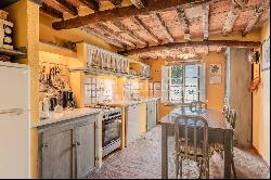 Ancient farmhouse with a view on the hills of Lucca