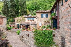 Ancient farmhouse with a view on the hills of Lucca