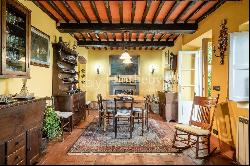 Ancient farmhouse with a view on the hills of Lucca