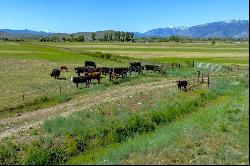 Prime land near Lake Tahoe with valuable surface water rights and entitlements