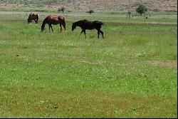 Prime land near Lake Tahoe with valuable surface water rights and entitlements