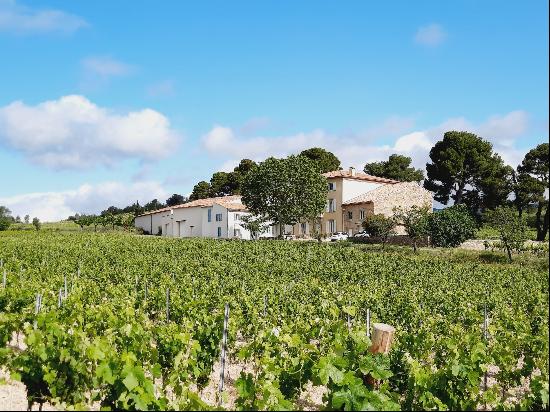 WINE-GROWING PROPERTY WITH A RENOWNED LANGUEDOC CRU