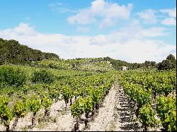 WINE-GROWING PROPERTY WITH A RENOWNED LANGUEDOC CRU