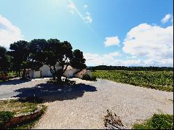 WINE-GROWING PROPERTY WITH A RENOWNED LANGUEDOC CRU