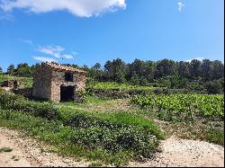 WINE-GROWING PROPERTY WITH A RENOWNED LANGUEDOC CRU