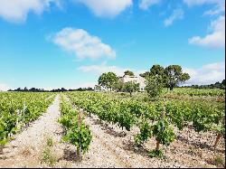 WINE-GROWING PROPERTY WITH A RENOWNED LANGUEDOC CRU