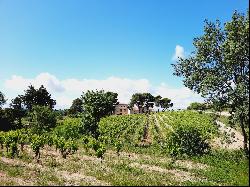 WINE-GROWING PROPERTY WITH A RENOWNED LANGUEDOC CRU