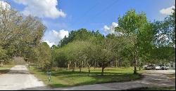 Pheasant Run Road, Wesley Chapel FL 33544