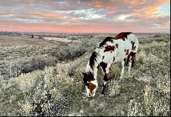 TBD Snively Gulch Rd, Adrian OR 97901