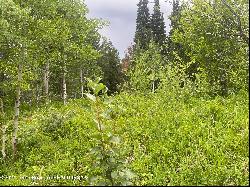 Lot 4 Pine, Alpine WY 83128